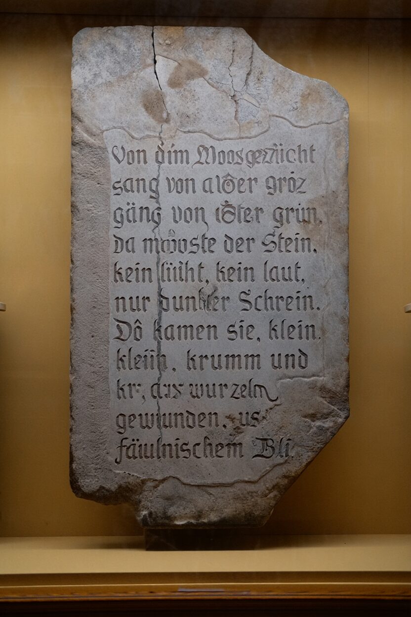 Stein des Anstoßes? Diese Tafel brachte uns auf die Spur der Mooslinge.