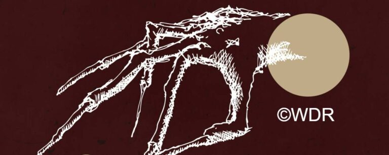 GRËUL in der ARD Audiothek – Wenn das Monster nicht unter dem Bett ist, sondern in dir.
