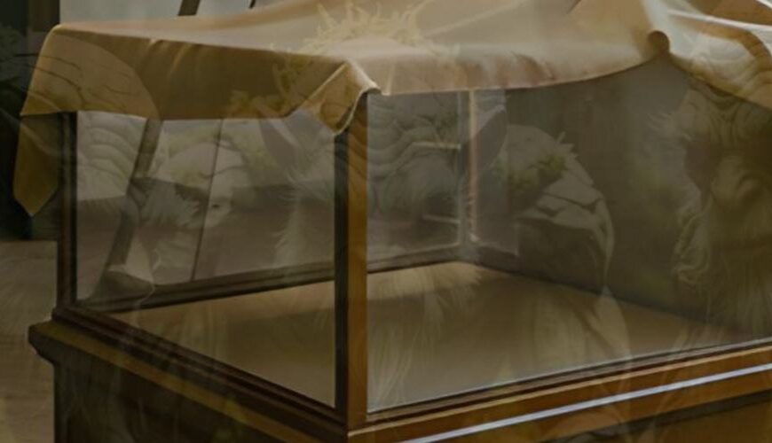 Abbildung: Die Silhouette von Mooslingen und eine ausgeräumte Vitrine im Heimatmuseum Hückeswagen