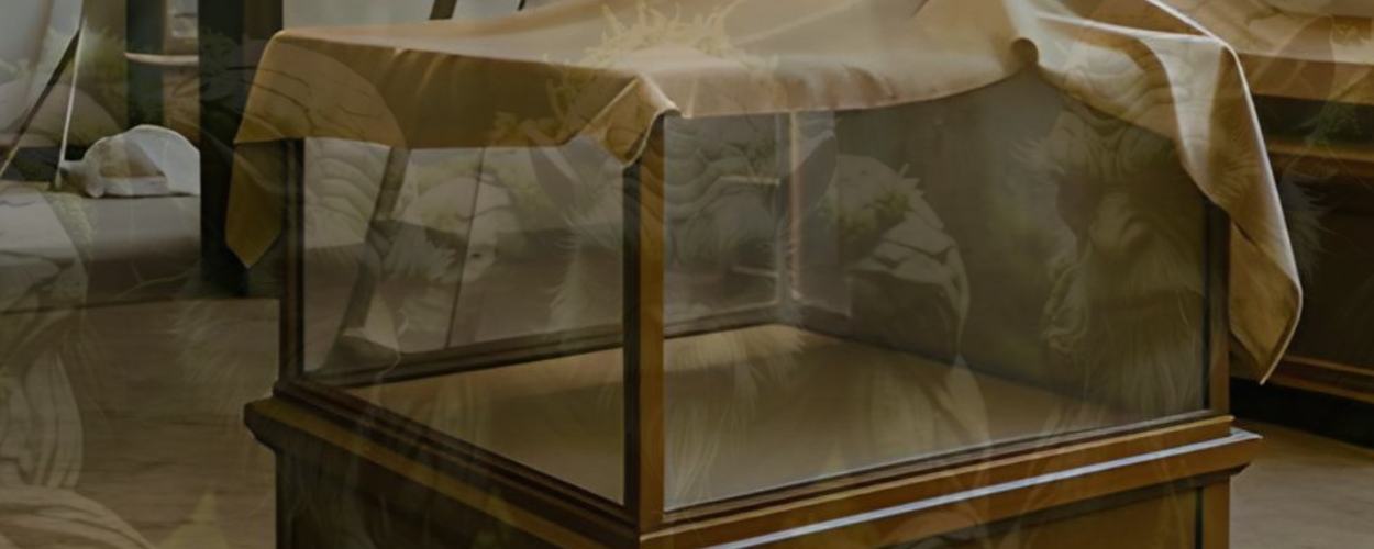 Abbildung: Die Silhouette von Mooslingen und eine ausgeräumte Vitrine im Heimatmuseum Hückeswagen