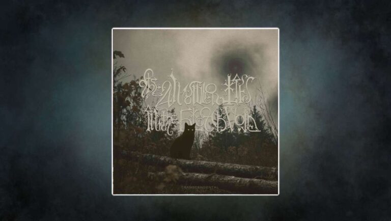 Albumcover zu Transcendental von The Answer Lies In The Black Void: Eine schwarze Katze mit leuchtenden Augen sitzt auf umgestürzten Baumstämmen, im Hintergrund düstere Natur und ein mystischer, wirbelnder Himmel. Atmosphärische Gothic- und Doom-Ästhetik.