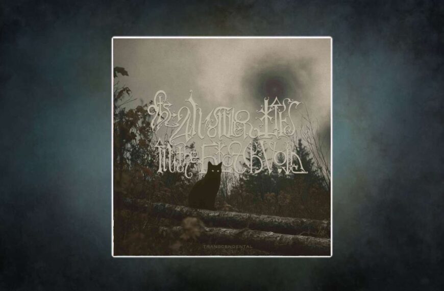 Albumcover zu Transcendental von The Answer Lies In The Black Void: Eine schwarze Katze mit leuchtenden Augen sitzt auf umgestürzten Baumstämmen, im Hintergrund düstere Natur und ein mystischer, wirbelnder Himmel. Atmosphärische Gothic- und Doom-Ästhetik.