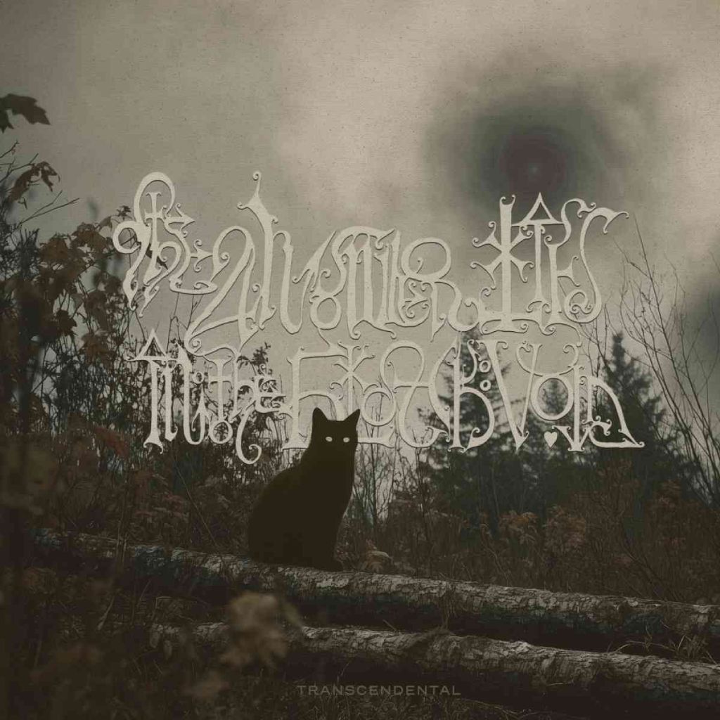 Albumcover zu Transcendental von The Answer Lies In The Black Void: Eine schwarze Katze mit leuchtenden Augen sitzt auf umgestürzten Baumstämmen, im Hintergrund düstere Natur und ein mystischer, wirbelnder Himmel. Atmosphärische Gothic- und Doom-Ästhetik.