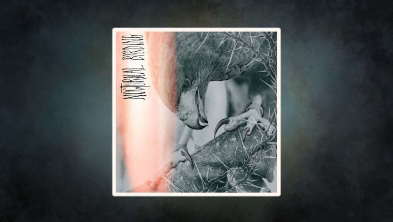 Düstere Nahaufnahme eines Vogels mit Dornenzweig – das Cover von Nocturnal Birding spiegelt Tristan Shones Verschmelzung von Natur und Maschine: animalisch, metallisch, apokalyptisch.