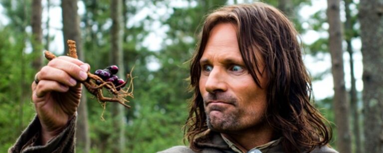 Meme mit schwarzem Textfeld: „Wenn euer Waldläufer keinen Plan hat, ob der seltsame Pilz Superkräfte verleiht oder tödlich wirkt.“ Darunter schaut ein ernst dreinblickender Waldläufer im braunen Umhang im Wald auf einen Pilz in seiner Hand, unten rechts steht „FANTASYKOSMOS.DE“.