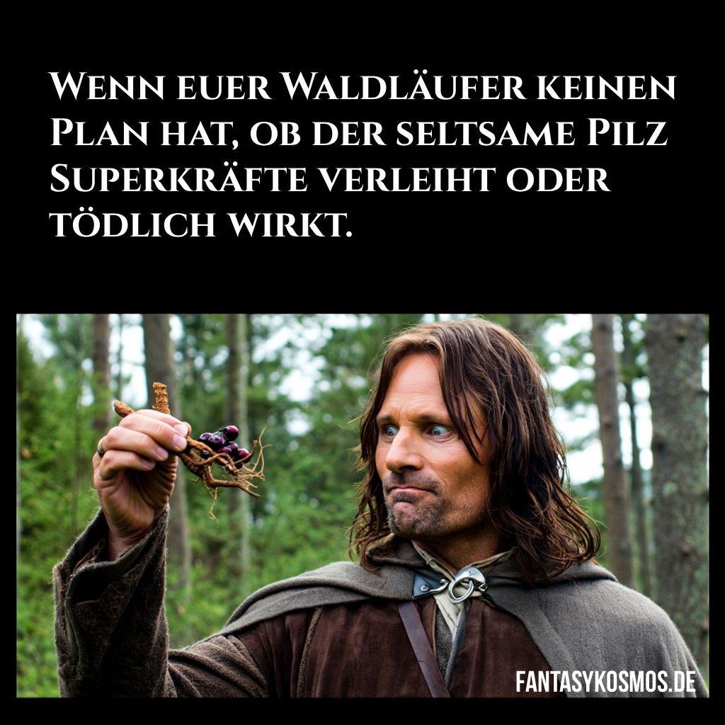 Meme mit schwarzem Textfeld: „Wenn euer Waldläufer keinen Plan hat, ob der seltsame Pilz Superkräfte verleiht oder tödlich wirkt.“ Darunter schaut ein ernst dreinblickender Waldläufer im braunen Umhang im Wald auf einen Pilz in seiner Hand, unten rechts steht „FANTASYKOSMOS.DE“.