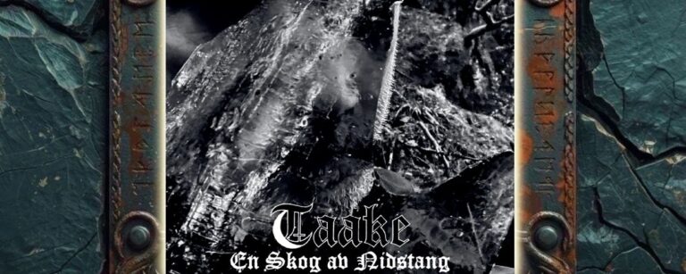 Albumcover von Taake – En Skog av Nidstang: Schwarzweißes, grobkörniges Motiv mit einer transparenten, rissigen Oberfläche vor Wald- und Aststrukturen. Unten stehen Bandname und Albumtitel in weißer Frakturschrift.