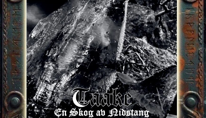 Albumcover von Taake – En Skog av Nidstang: Schwarzweißes, grobkörniges Motiv mit einer transparenten, rissigen Oberfläche vor Wald- und Aststrukturen. Unten stehen Bandname und Albumtitel in weißer Frakturschrift.