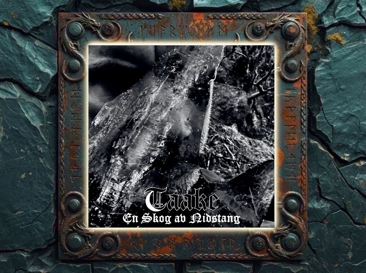 Albumcover von Taake – En Skog av Nidstang: Schwarzweißes, grobkörniges Motiv mit einer transparenten, rissigen Oberfläche vor Wald- und Aststrukturen. Unten stehen Bandname und Albumtitel in weißer Frakturschrift.