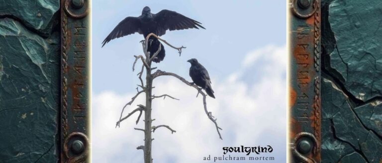 Albumcover von Soulgrind – Ad Pulchram Mortem: Drei schwarze Raben sitzen beziehungsweise landen auf den kahlen Ästen eines abgestorbenen Baumes vor einem hellblauen, wolkigen Himmel. Unten rechts stehen Bandname und Albumtitel.