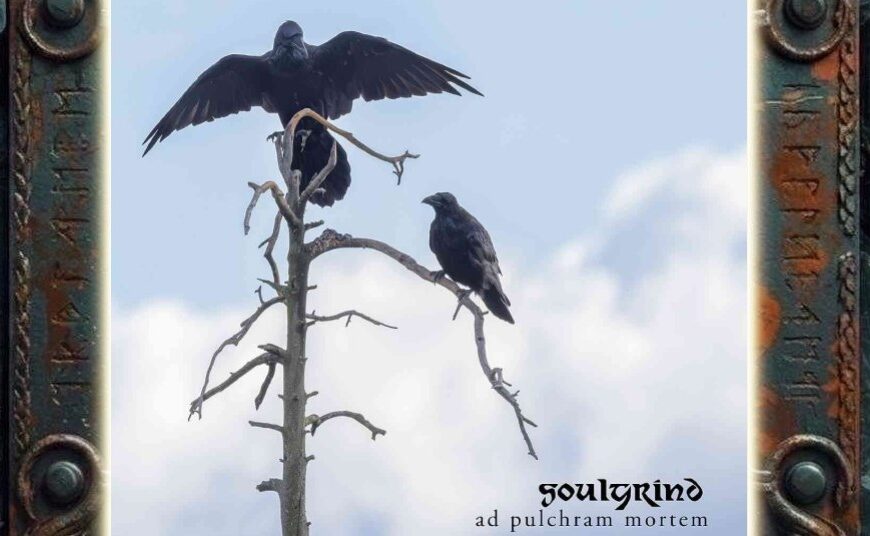 Albumcover von Soulgrind – Ad Pulchram Mortem: Drei schwarze Raben sitzen beziehungsweise landen auf den kahlen Ästen eines abgestorbenen Baumes vor einem hellblauen, wolkigen Himmel. Unten rechts stehen Bandname und Albumtitel.