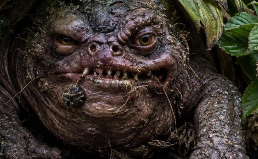 Makroartiges Fantasy-Naturfoto im Hochformat: Ein feister, krötenartiger Beethocker mit schlammiger Haut, schiefen Zähnen, gelben Augen und langen Krallen lauert unter breiten Blättern in einem gepflegten Vorgarten. Neben ihm stehen ein Gartenzwerg, helle Ziersteine und nasse Pflanzen. Das Wesen wirkt wie ein erschreckend echter, bösartiger Gartenfund aus den Zwischenreichen.