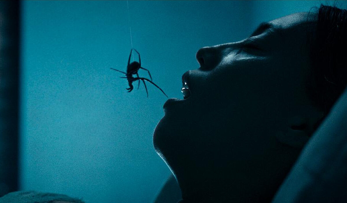 Düstere Filmszene aus Crawlers: Eine große schwarze Spinne hängt an einem dünnen Faden unmittelbar über dem geöffneten Mund eines auf dem Rücken liegenden Menschen. Kaltes, türkisblaues Licht taucht die bedrohliche Begegnung in eine unheimliche Atmosphäre.
