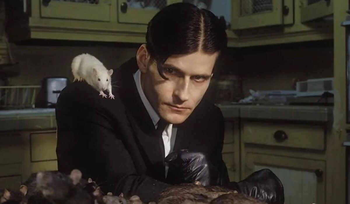 Ein dunkelhaariger Mann im schwarzen Anzug sitzt in einer Küche, während eine weiße Ratte auf seiner Schulter sitzt und weitere Ratten vor ihm zu sehen sind.